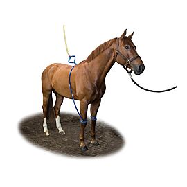 Equine Leg cooler for 2 legs